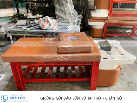 Lắp dược cho các loại giường gội dưỡng sinh