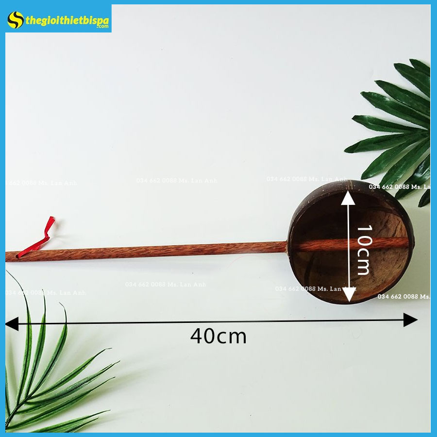 Gáo Dừa Tự Nhiên Thân Gỗ Gáo Dừa Tự Nhiên Thân Gỗ